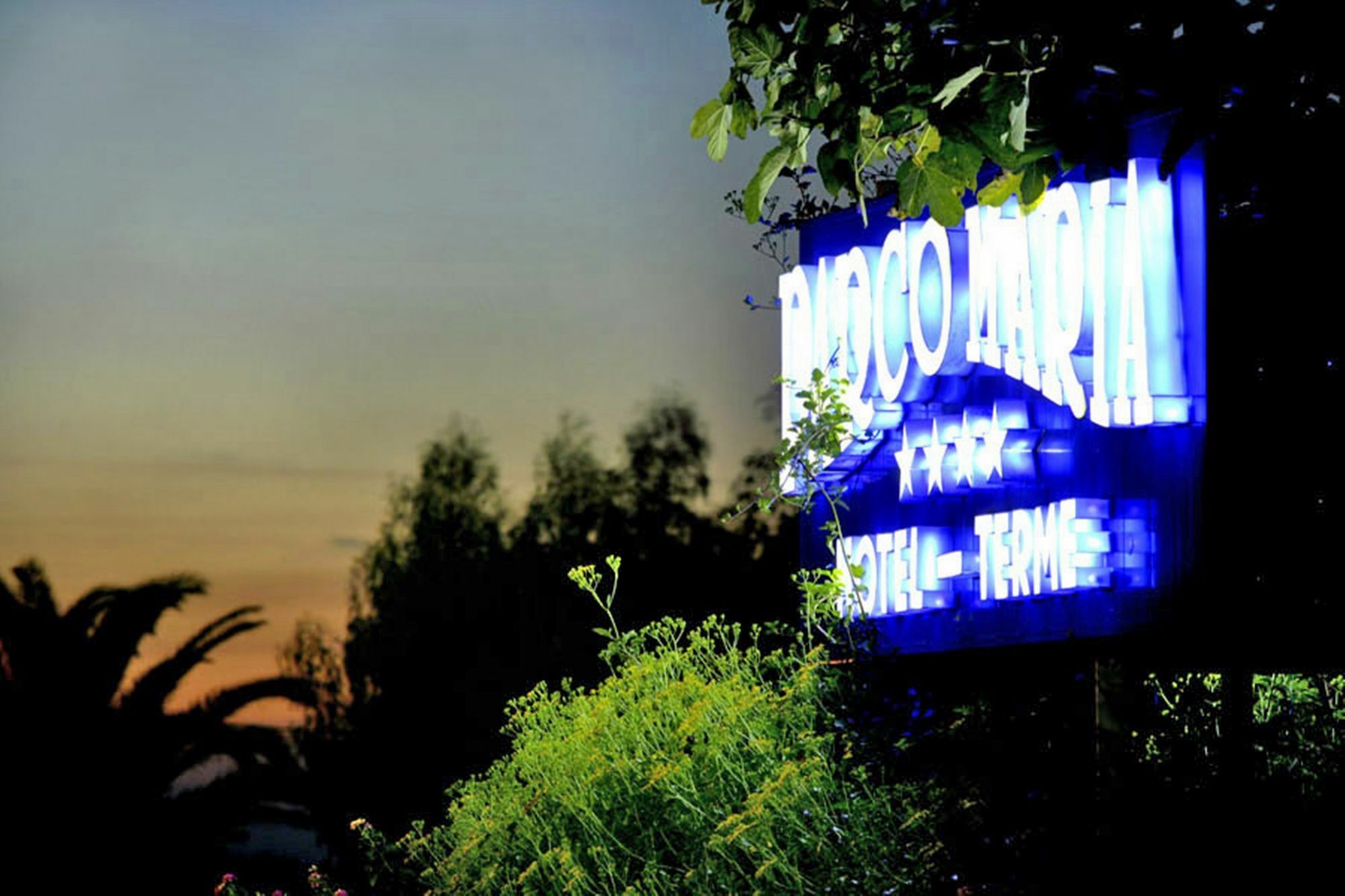 Hotel Parco Maria Terme Forio  ภายนอก รูปภาพ