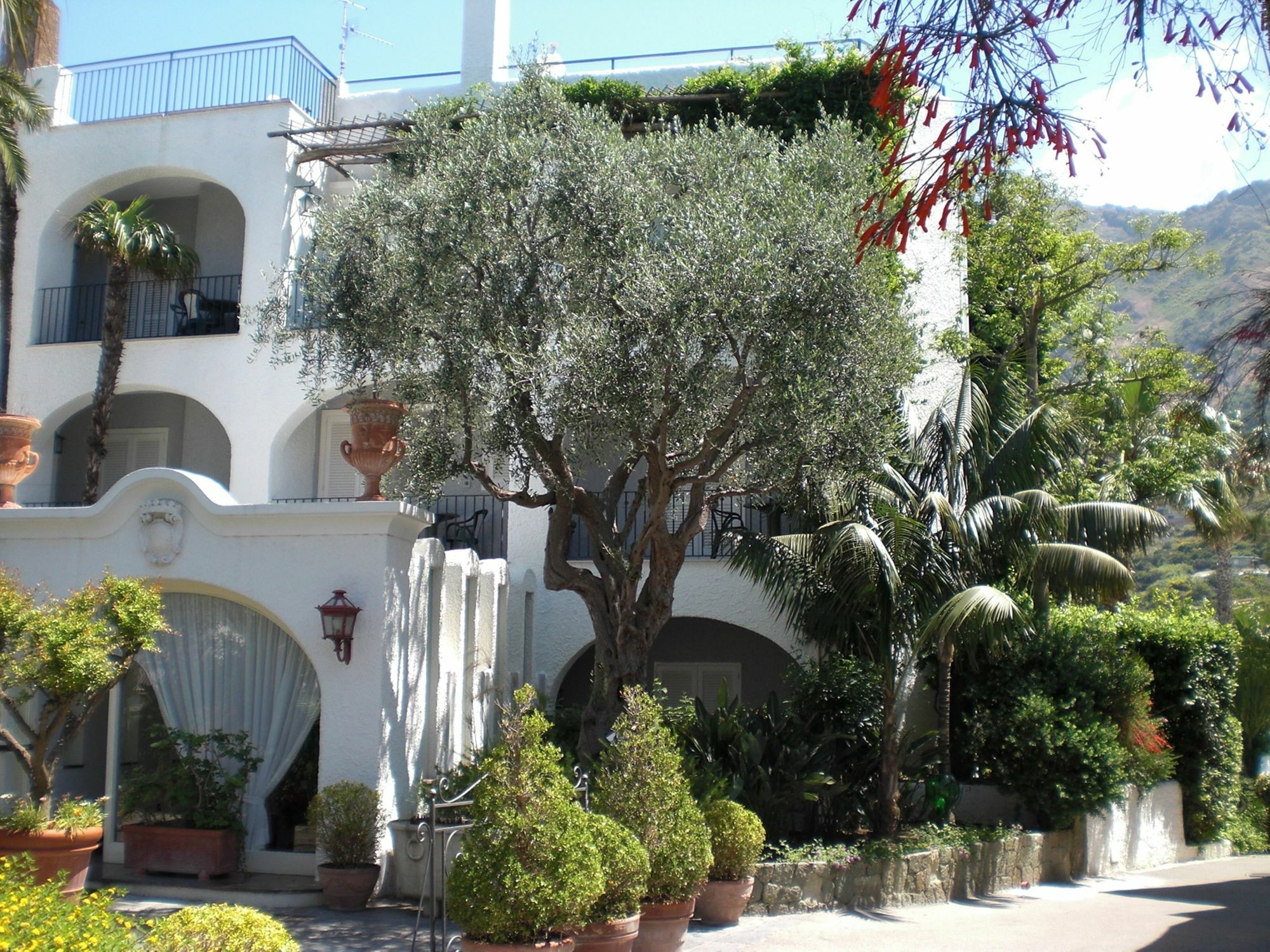 Hotel Parco Maria Terme Forio  ภายนอก รูปภาพ