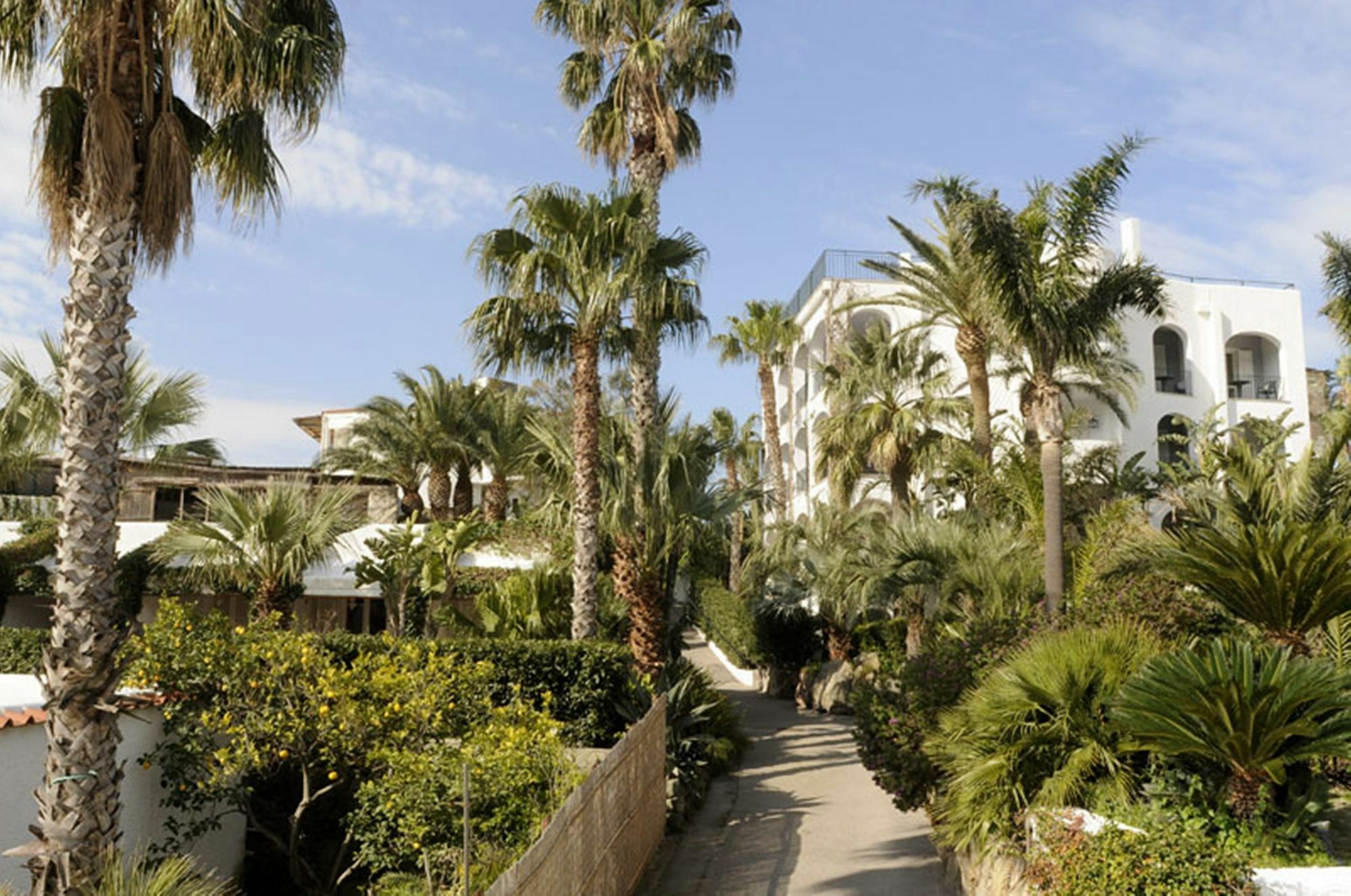 Hotel Parco Maria Terme Forio  ภายนอก รูปภาพ
