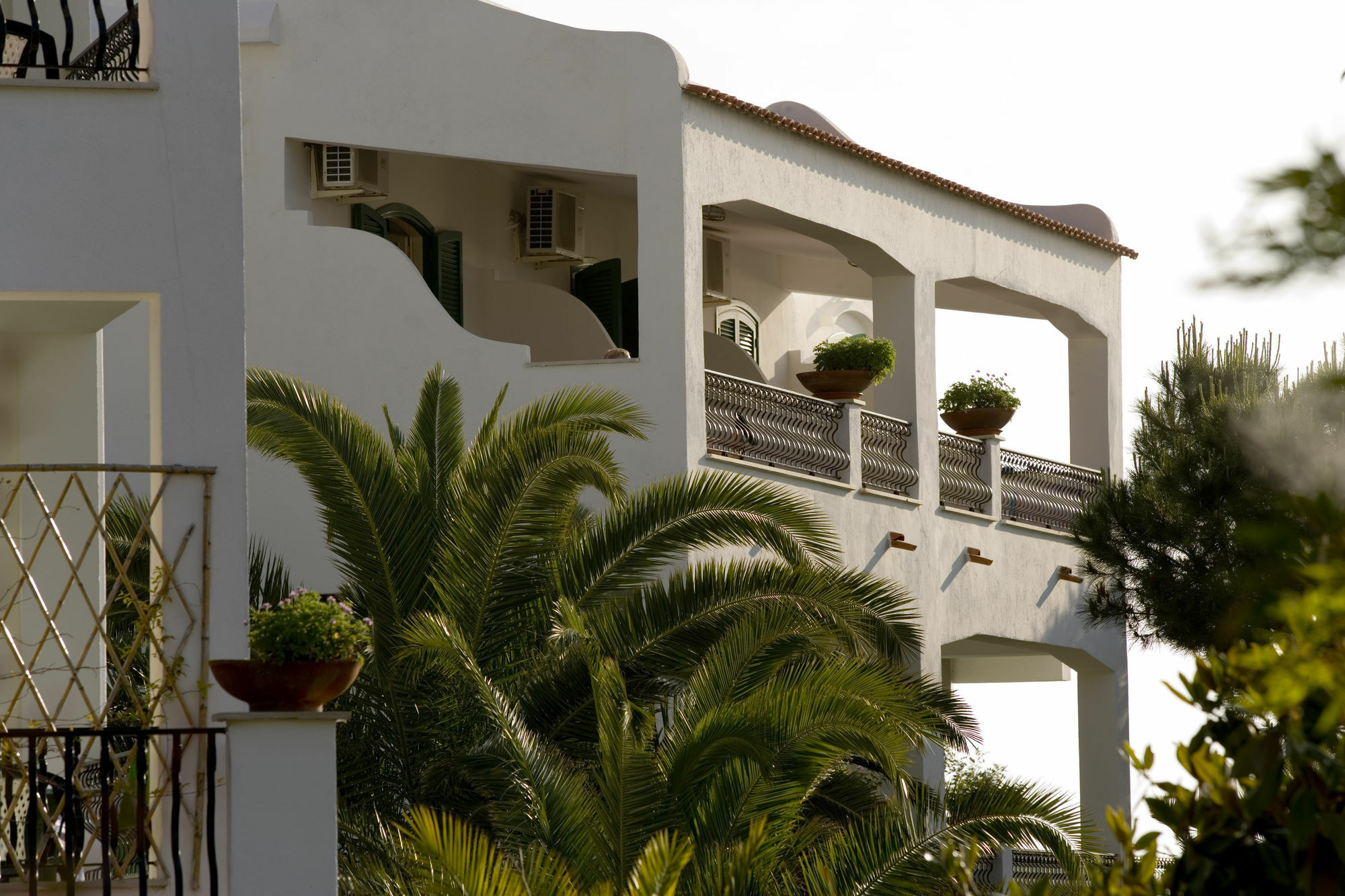 Hotel Parco Maria Terme Forio  ภายนอก รูปภาพ
